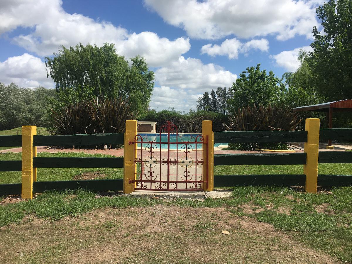 image 32