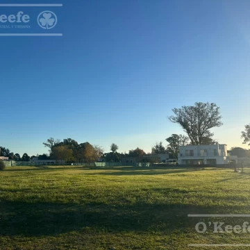 Excelente Lote en San Juan Chico FONDO VERDE- UN SOLO VECINO