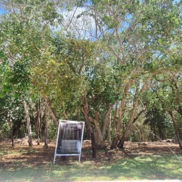 Terreno en Venta en Lagos del Sol