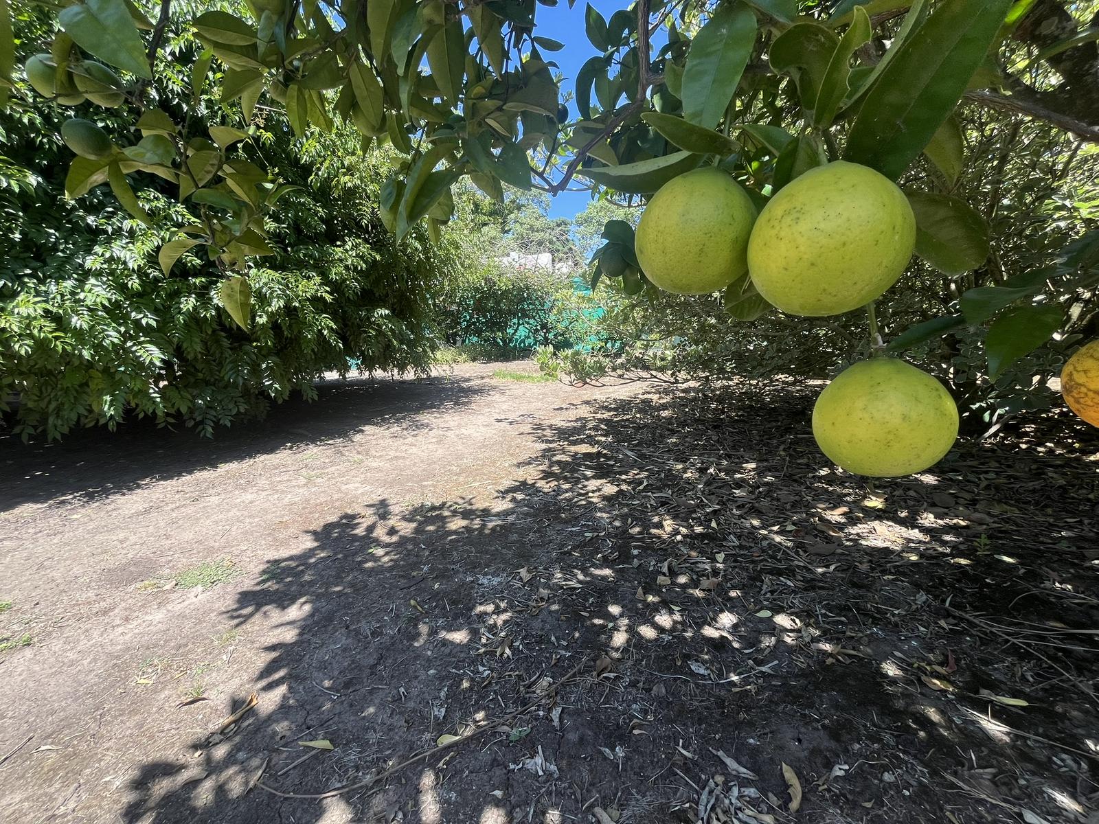 image 14