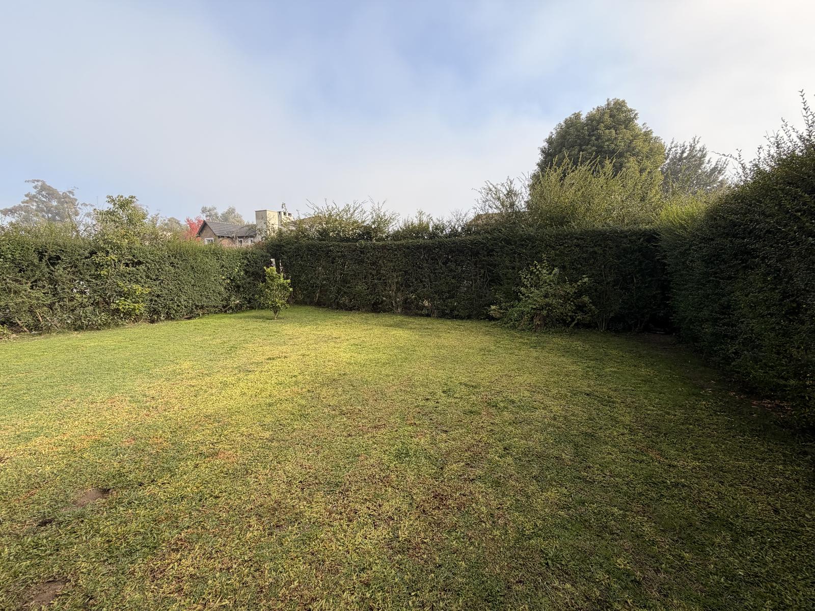image 39