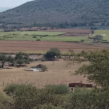 Terrenos en Proyecto de Desarrollo Campestre