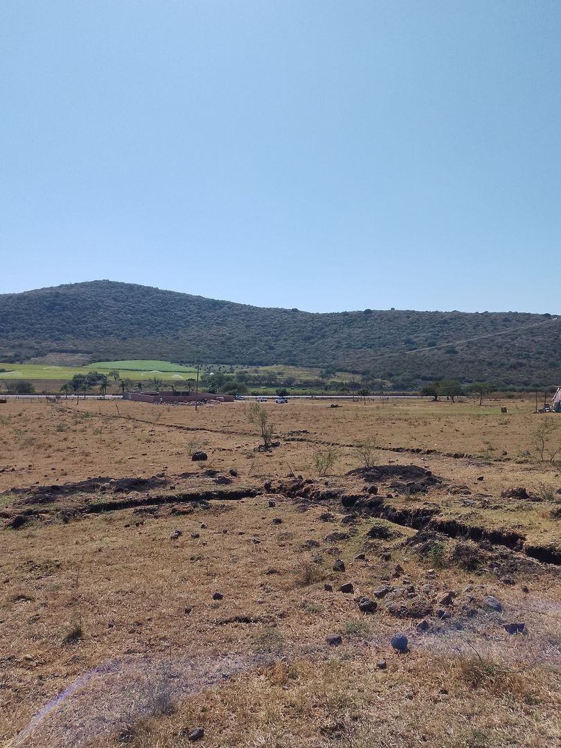 image 14