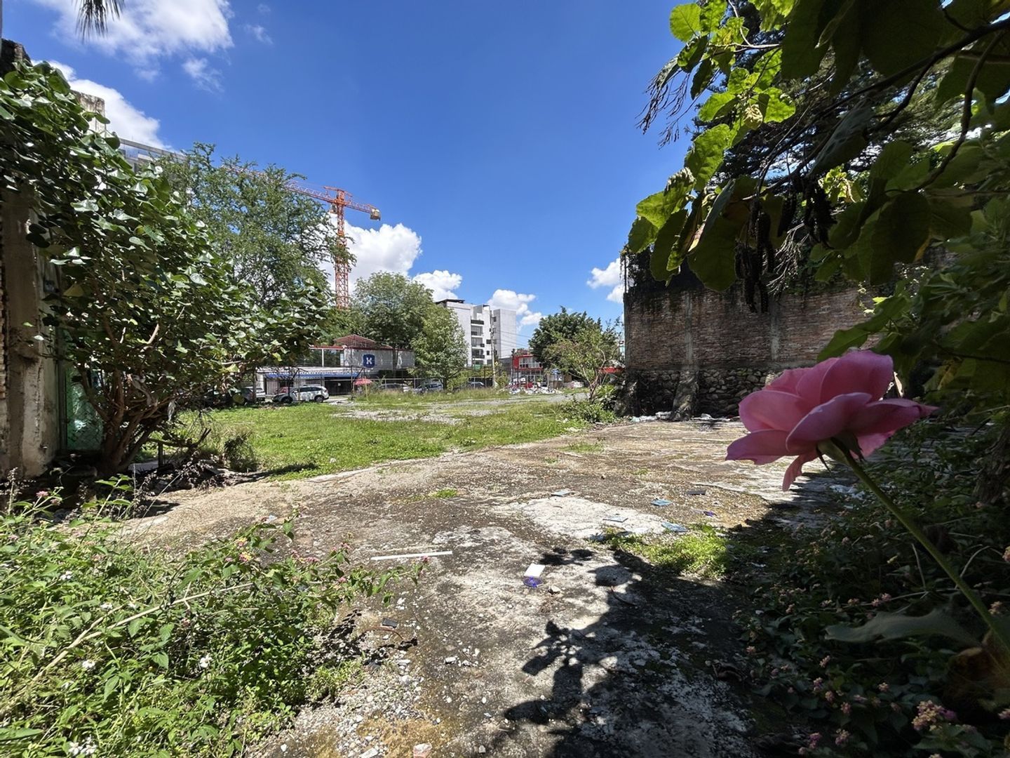 image 13