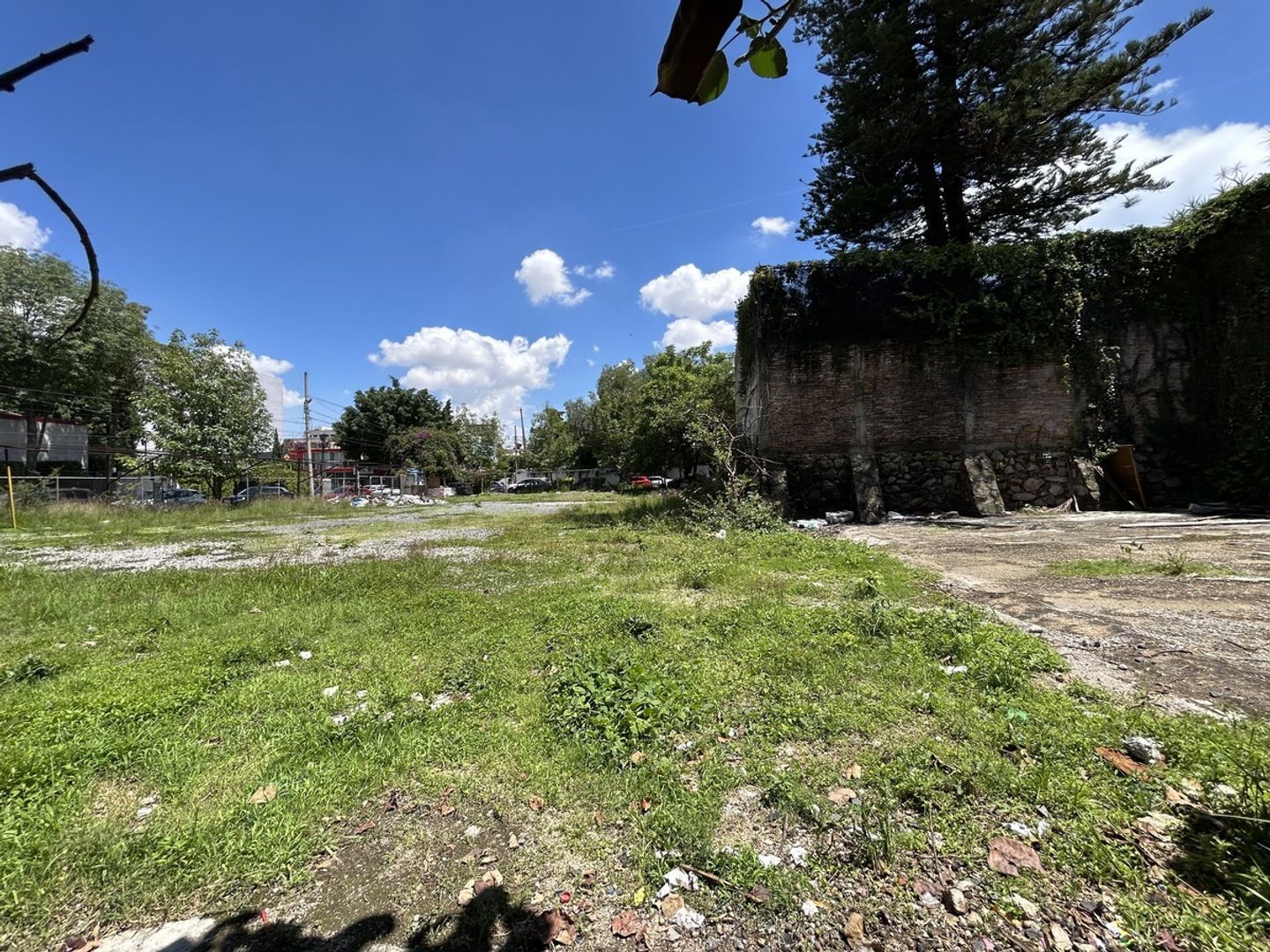 image 14