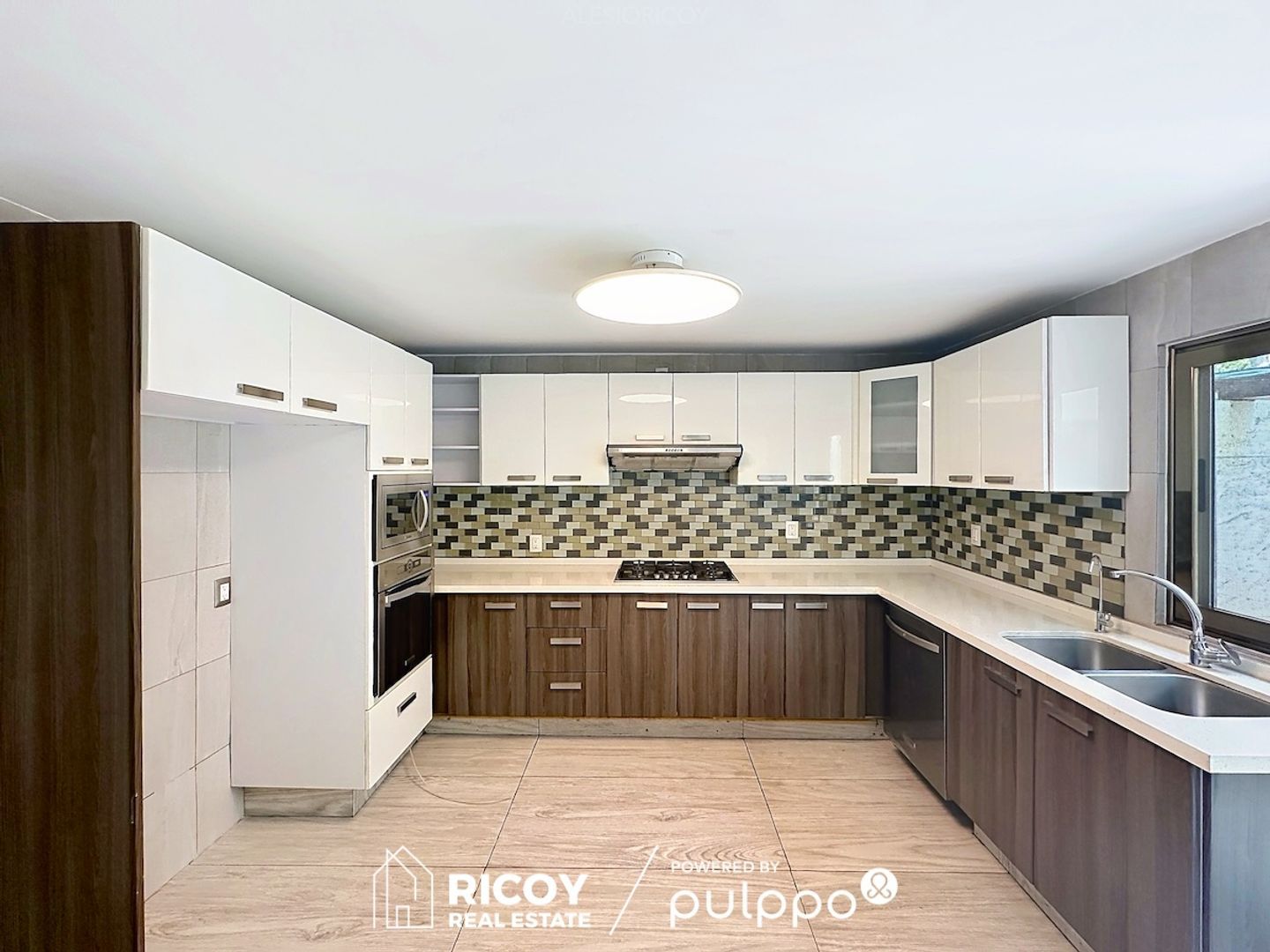 Ivonne Wild 11.jpg