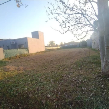1779883946.jpg