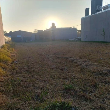 1779883946.jpg