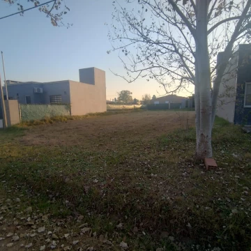 1779883947.jpg