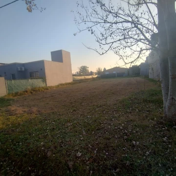 1779883948.jpg