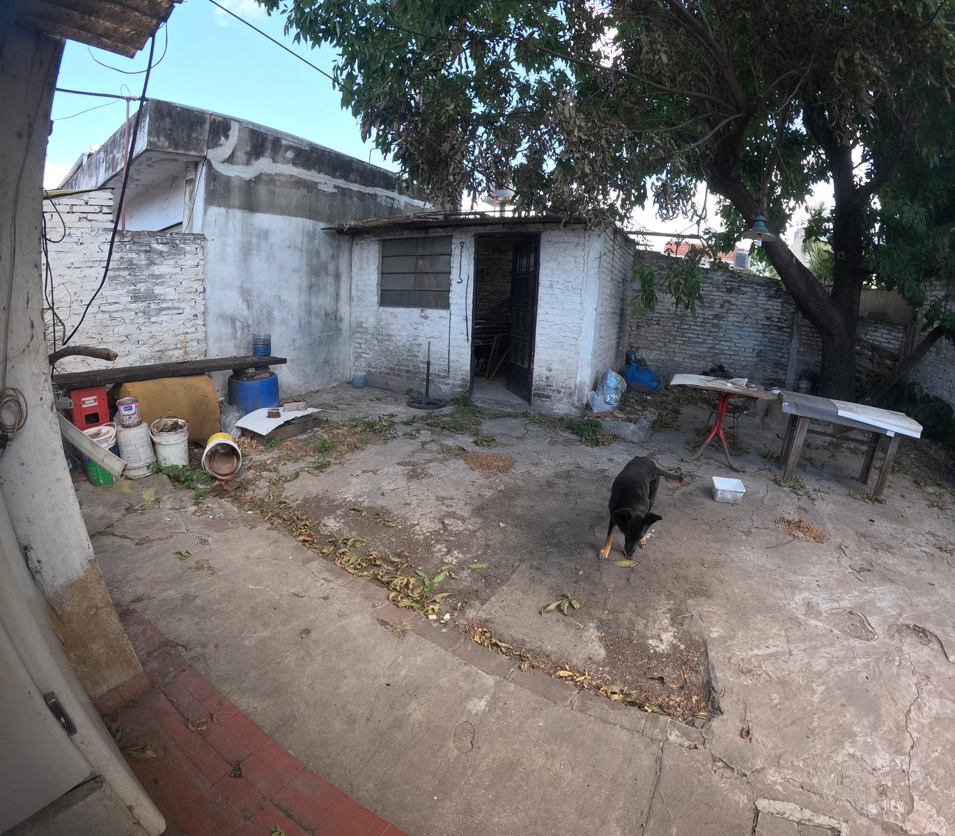image 19