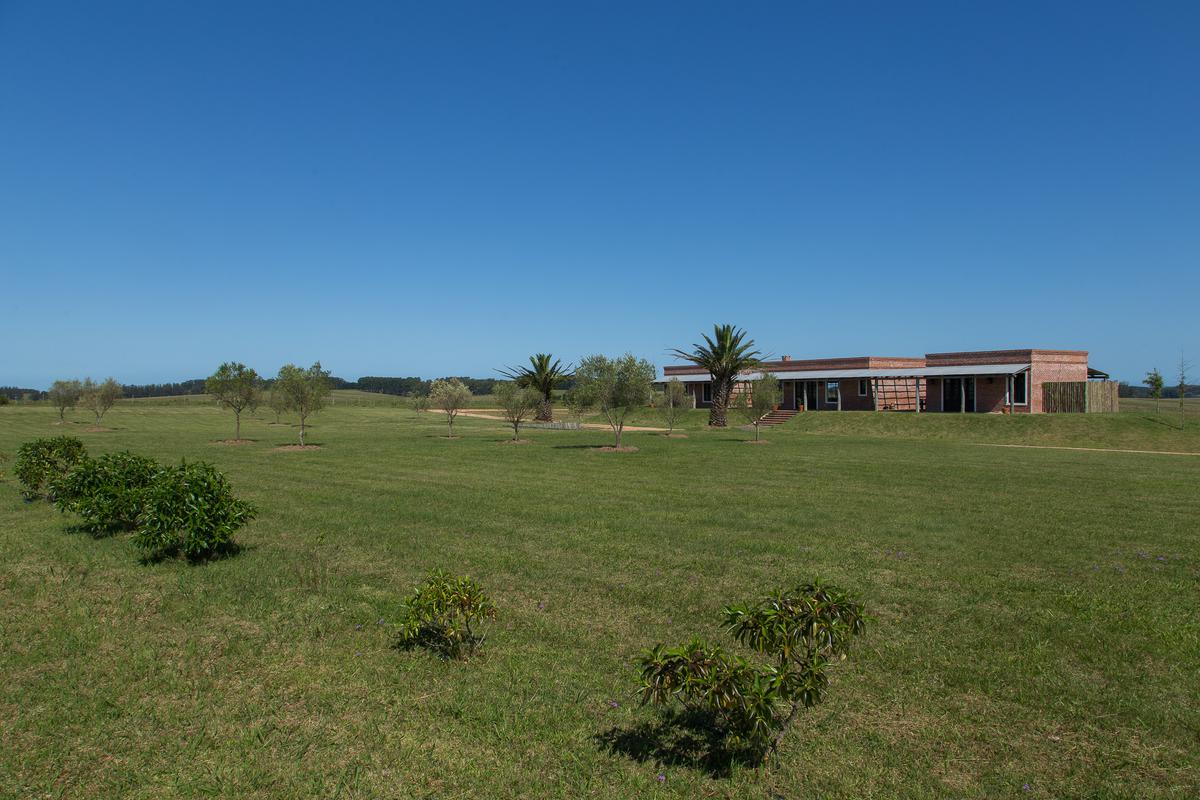 image 35