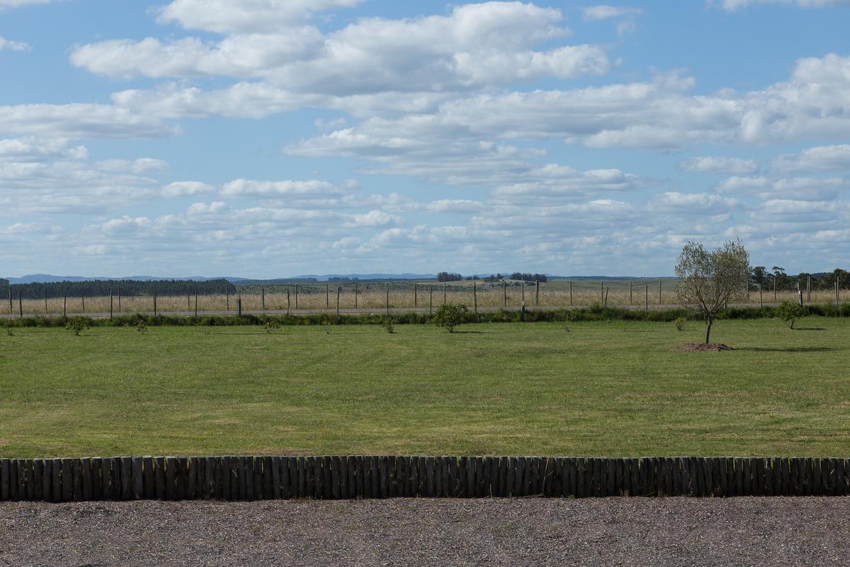 image 37