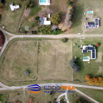 1779902670.jpg