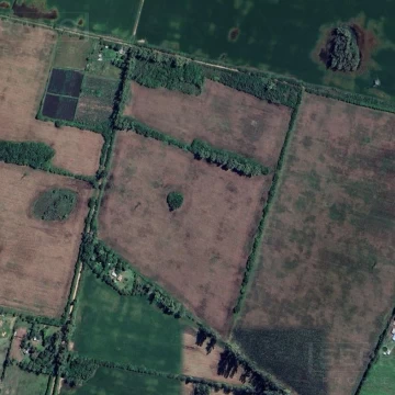 Venta campo agrícola ganadero con mejoras de 32 has. Zarate
