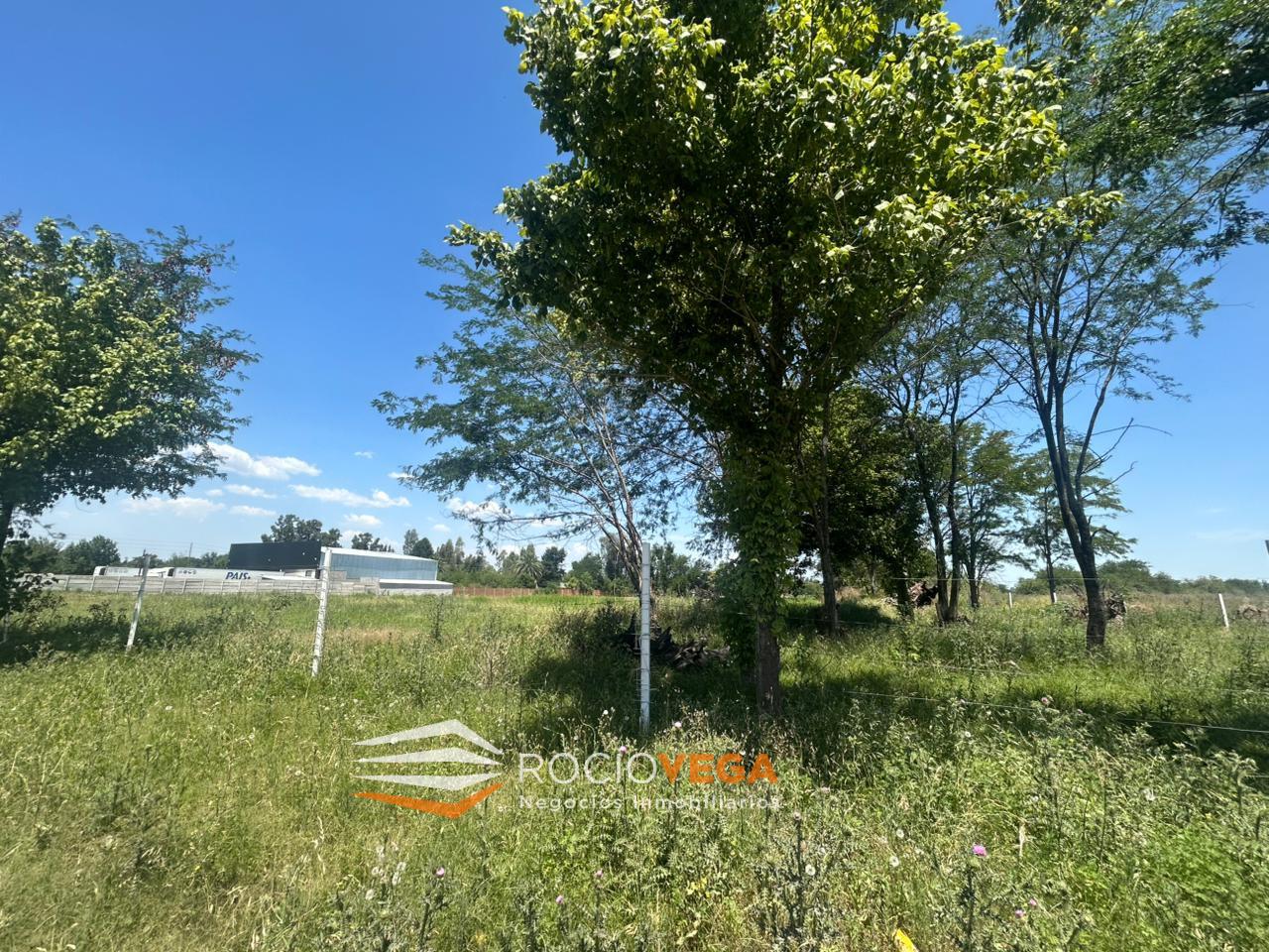 image 14