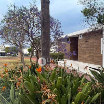 TERRENO EN VENTA EN PARQUE GUANAJUATO, ZONA LOMAS DE ANGELÓPOLIS, PUEBLA.