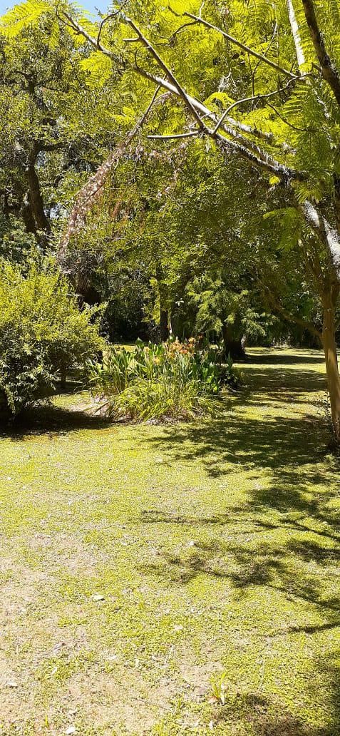image 29
