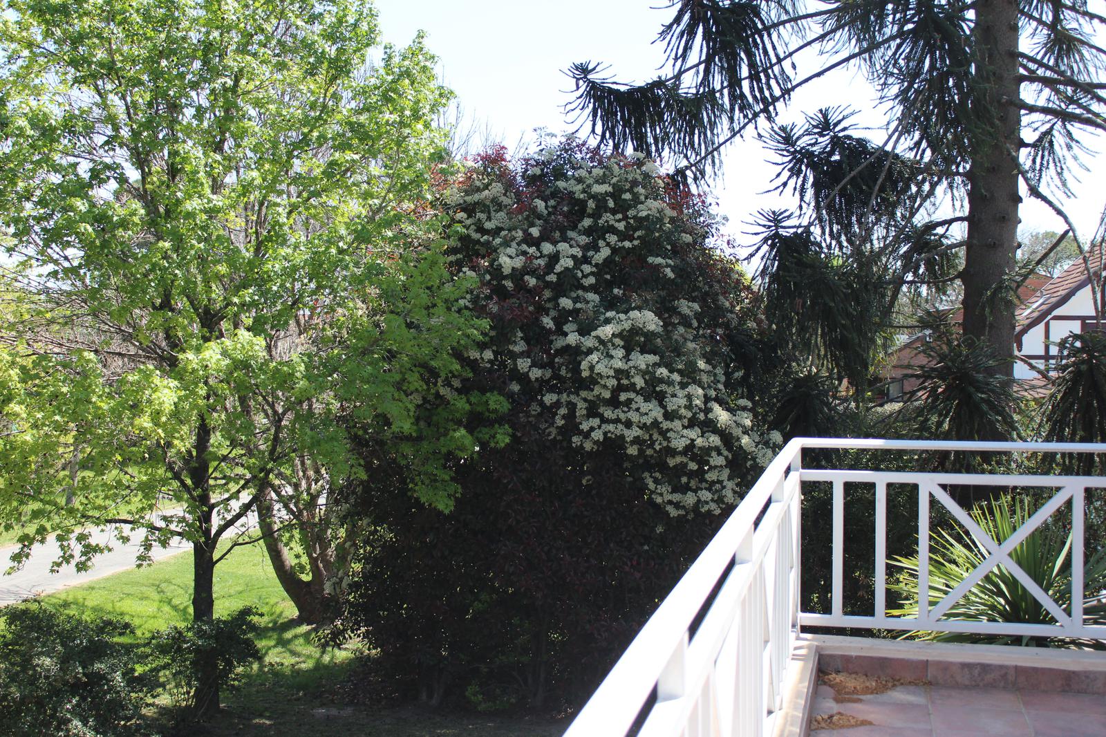 image 38