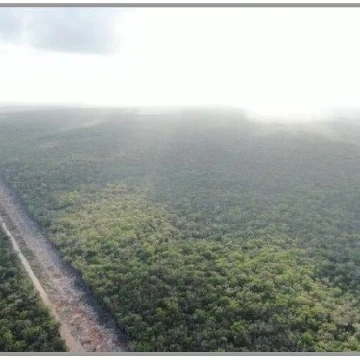 MACRO TERRENO EN VENTA, PLAYA DEL CARMEN