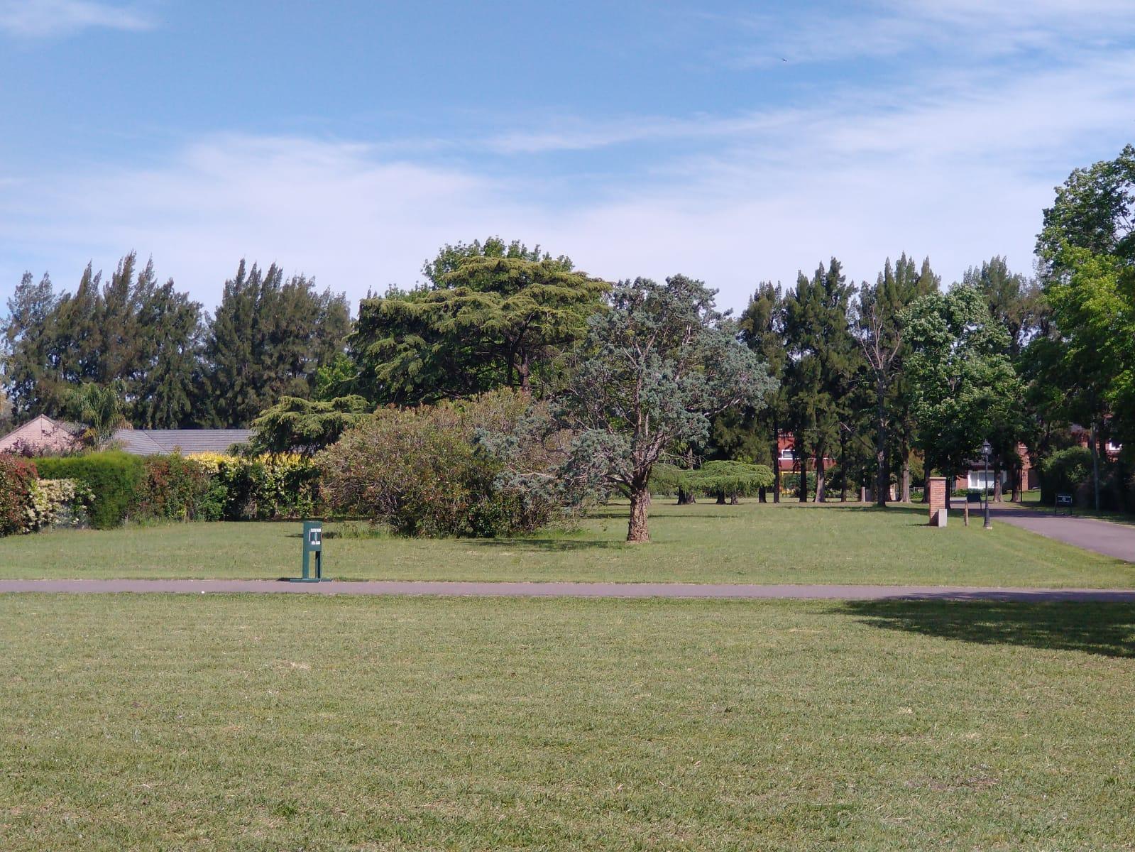 image 14