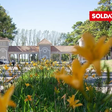 Terreno en venta en Los Pinares