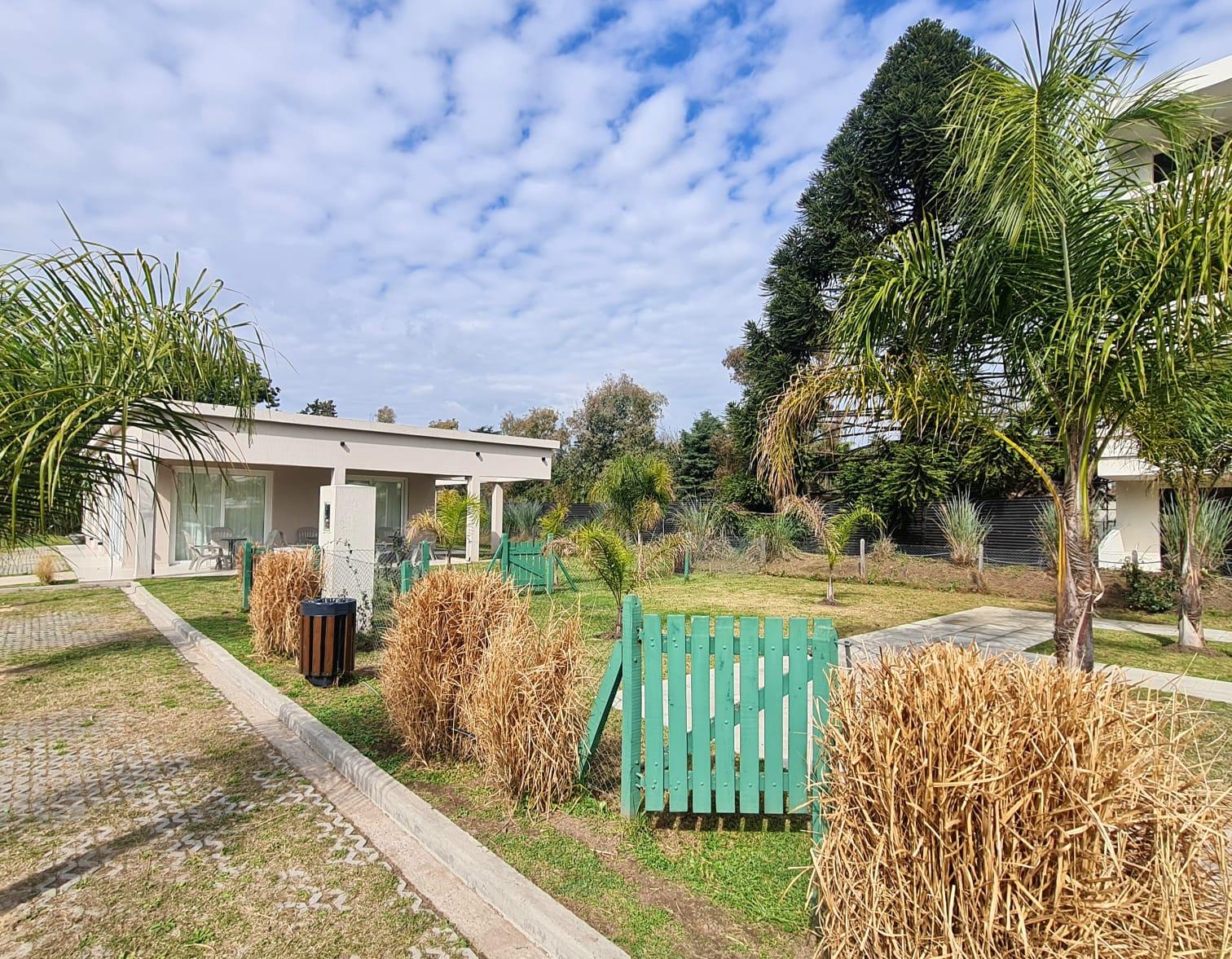 image 32