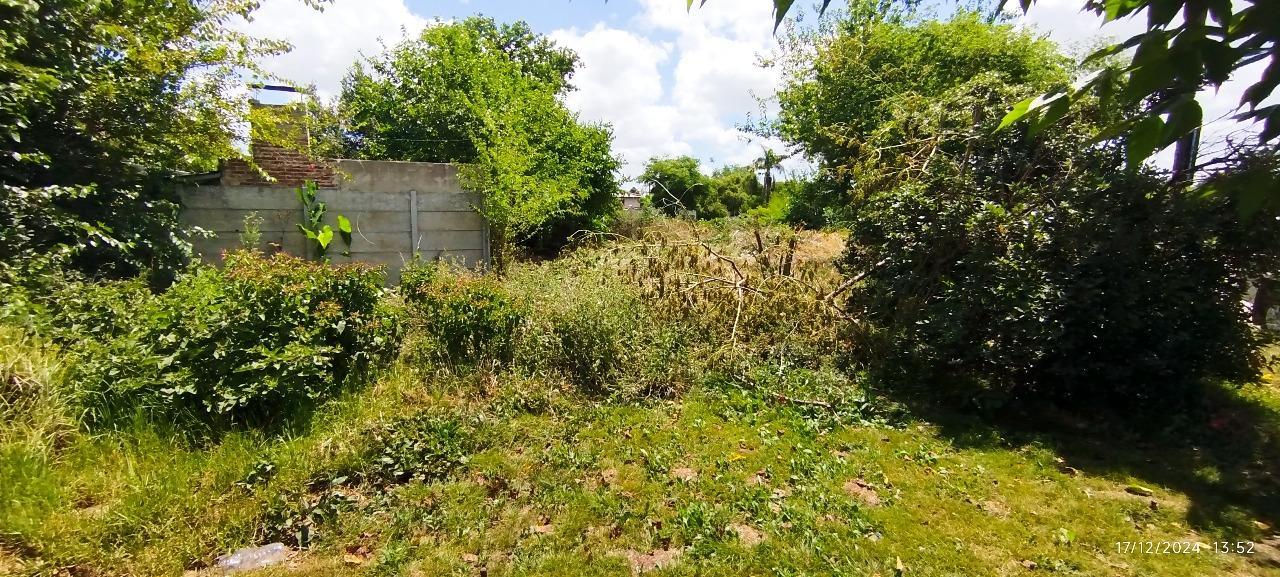 image 30