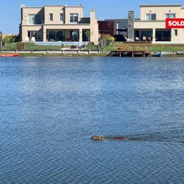 Excelente Lote en Venta con vista a la laguna 