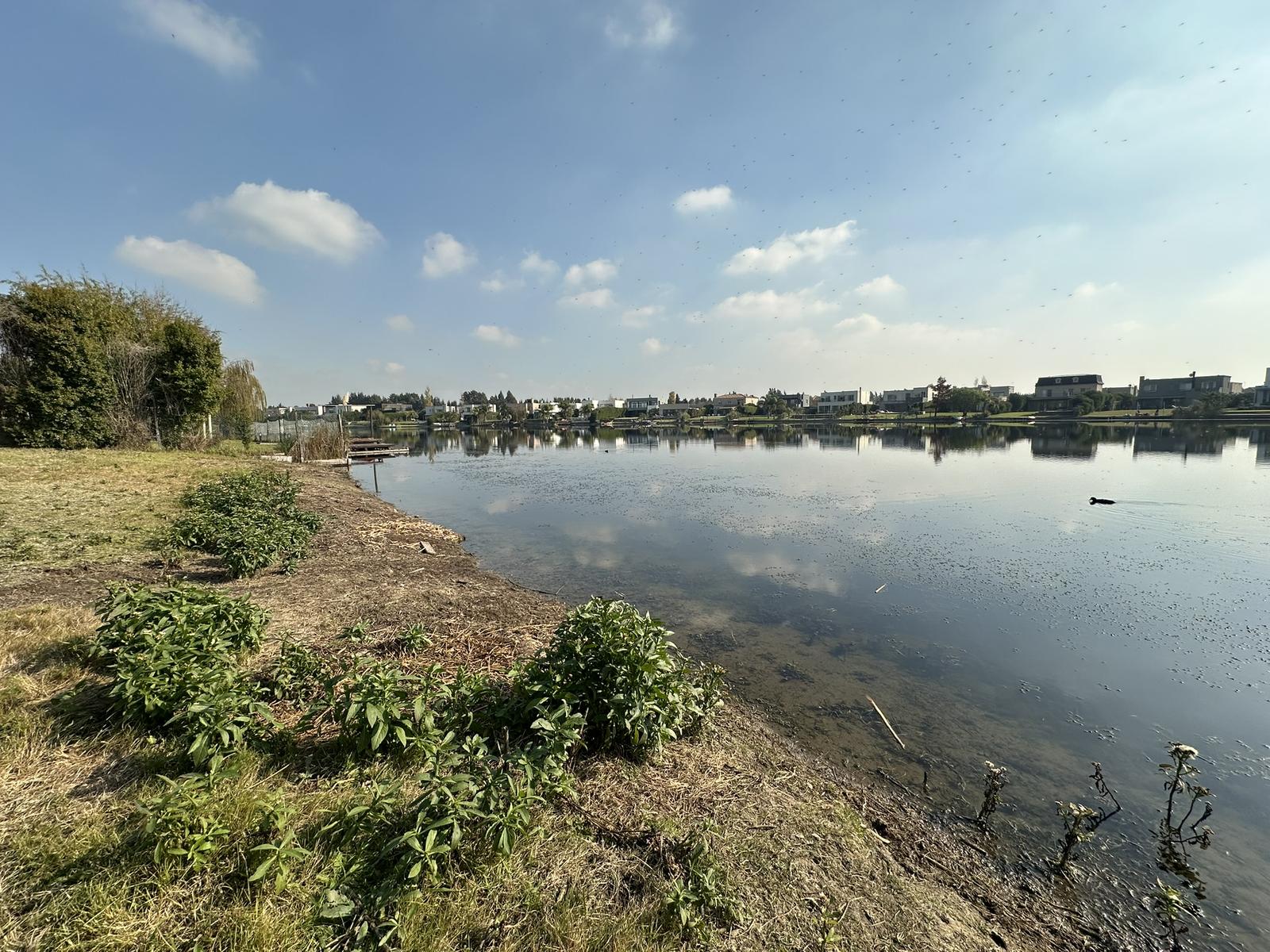 image 23