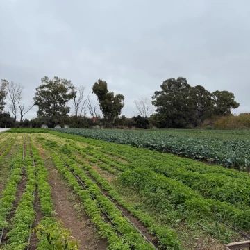 Terreno Venta en San Isidro 2800