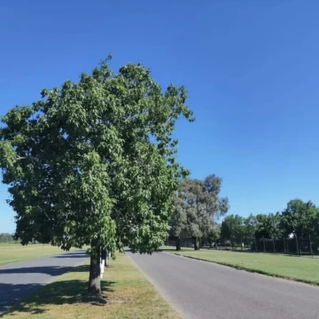 Venta de Lote en Barrio Cerrado San Ramón, Pilar del Este