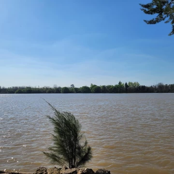 Lote Estratégico para Desarrollo Náutico/Turístico | 3 Hectáreas sobre Río Paraná | Acceso vehicular