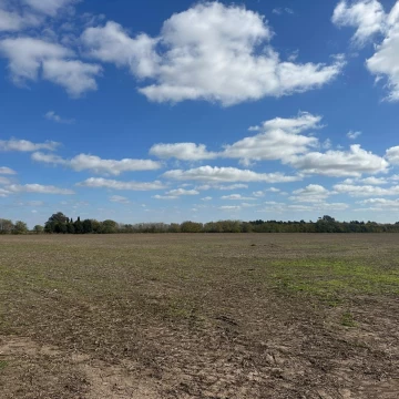 Campo 11 has agricolas a 1500mts autopista, libre de mejoras 