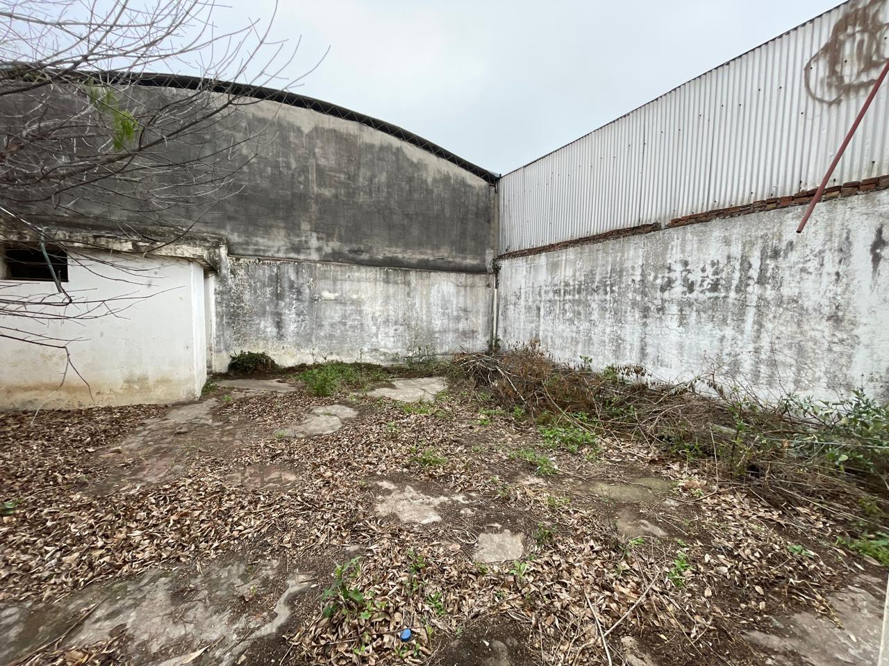 image 14