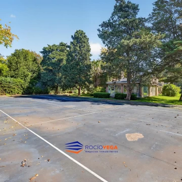 1780053918.jpg