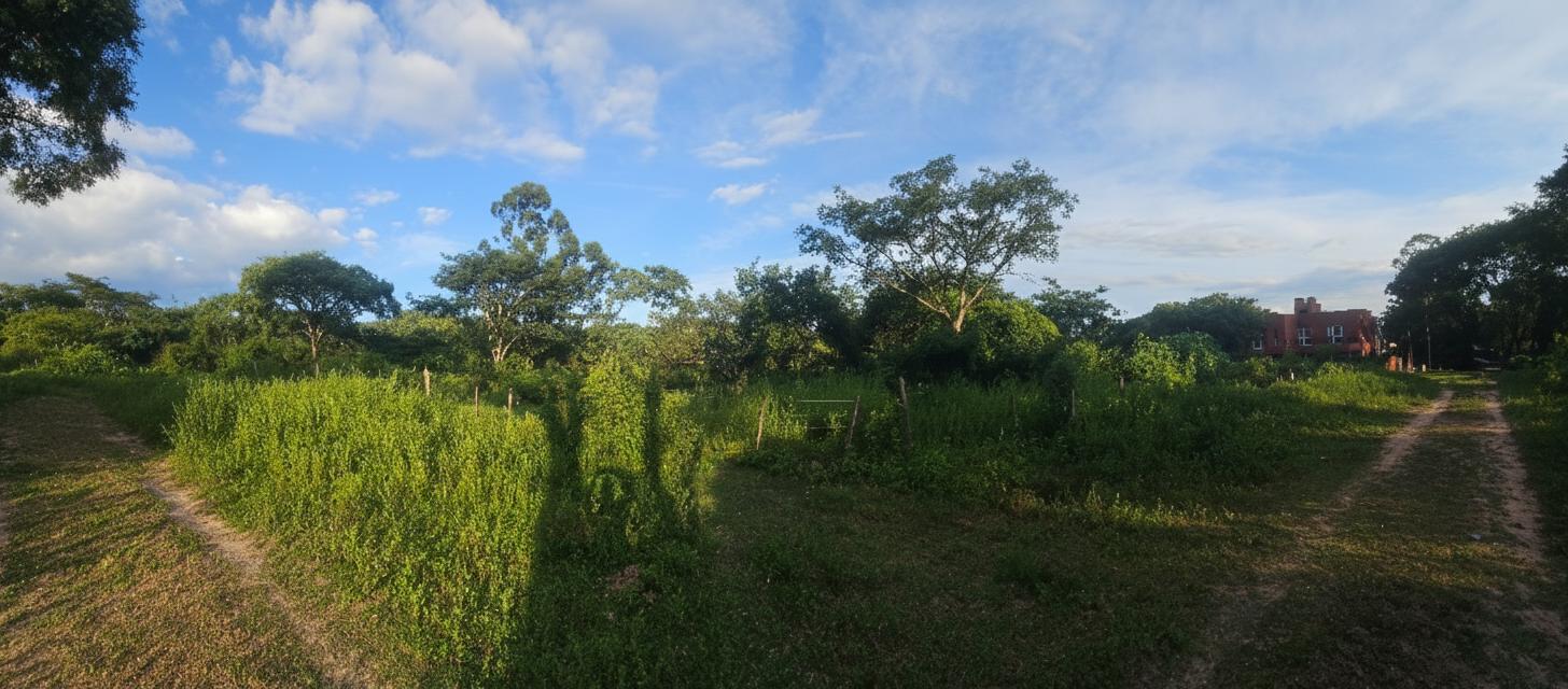 image 14