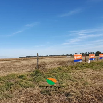 Terreno - Mi Granja