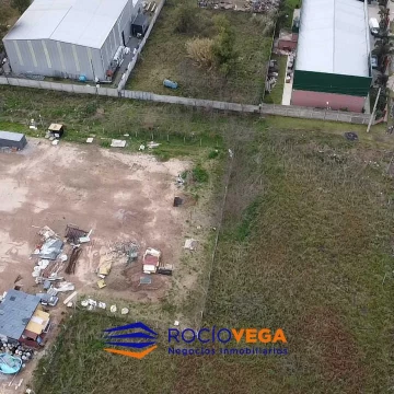 1780064700.jpg