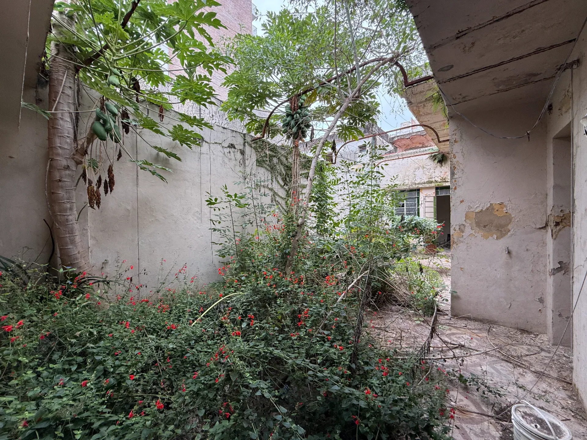 image 14