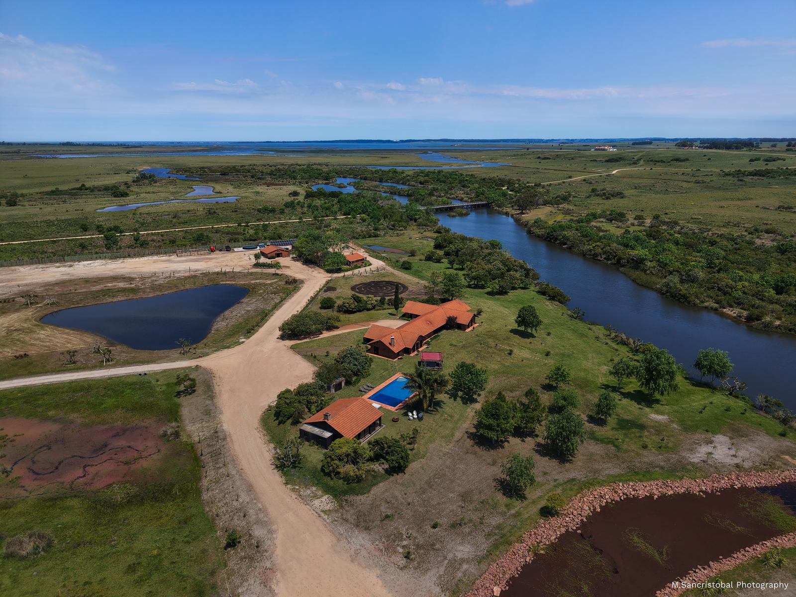 image 40