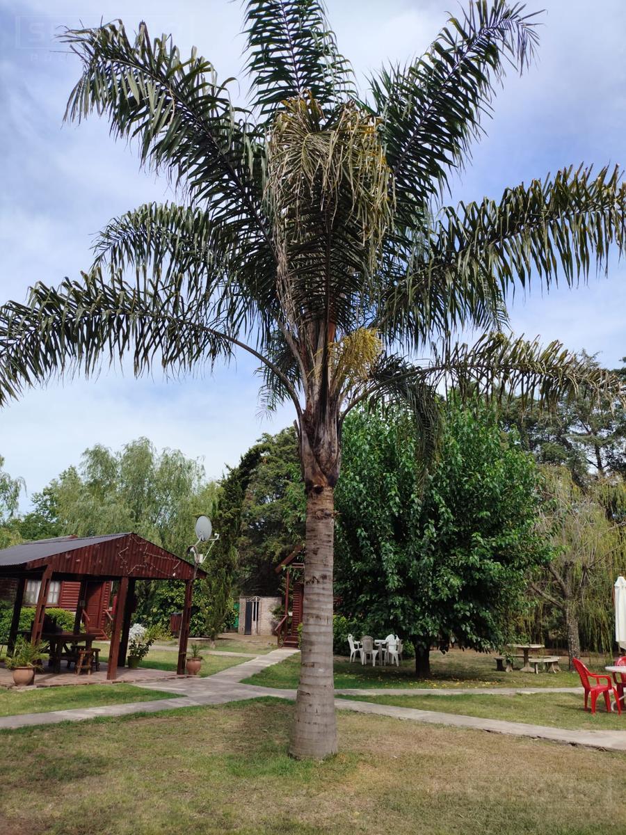 image 23