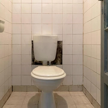 1780085557.jpg