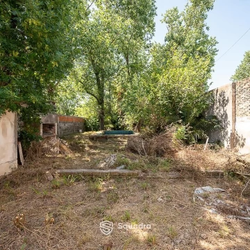 1780089165.jpg