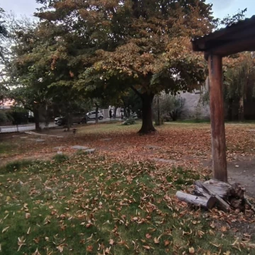 Terreno en Cipolletti