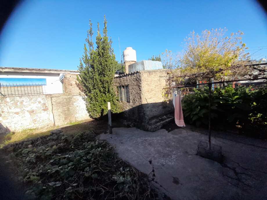 image 14