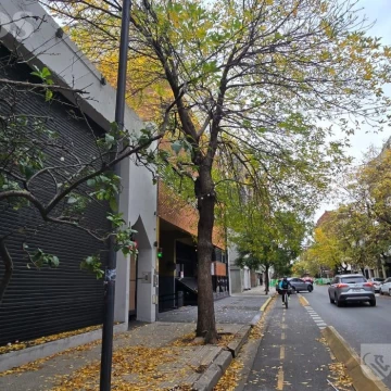 Local en Caballito