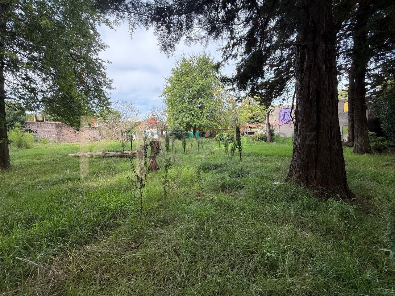 image 14