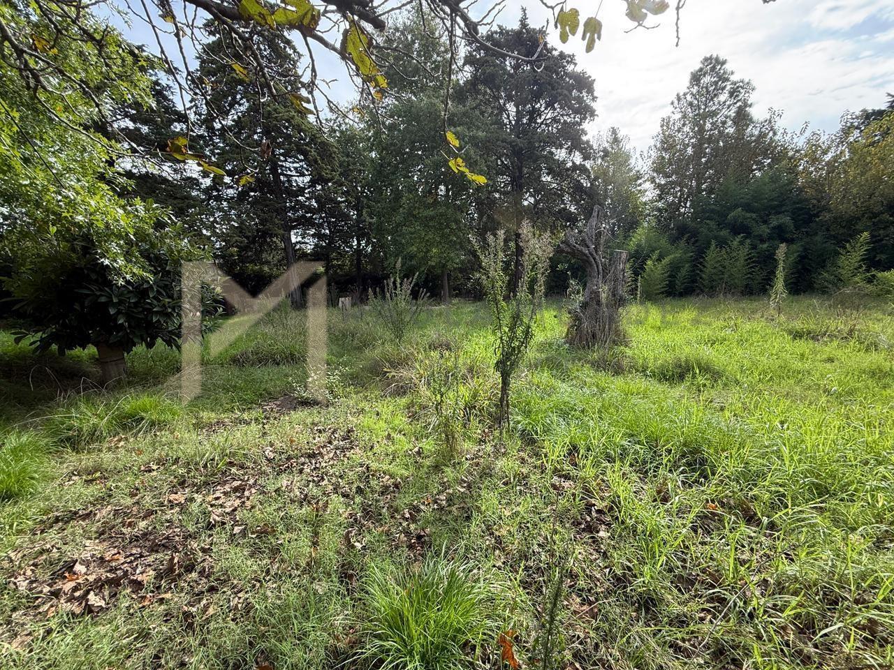 image 17