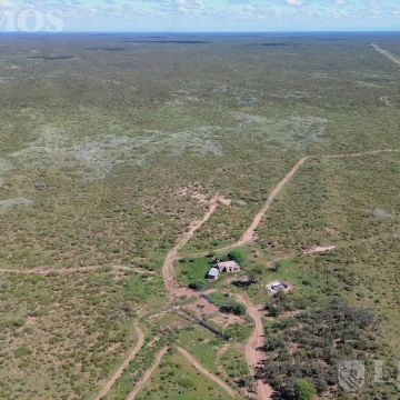14500 ha ganaderas La Paz, Mendoza